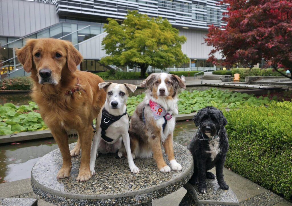 572363370_1399003428896081_5936089088302430083_n