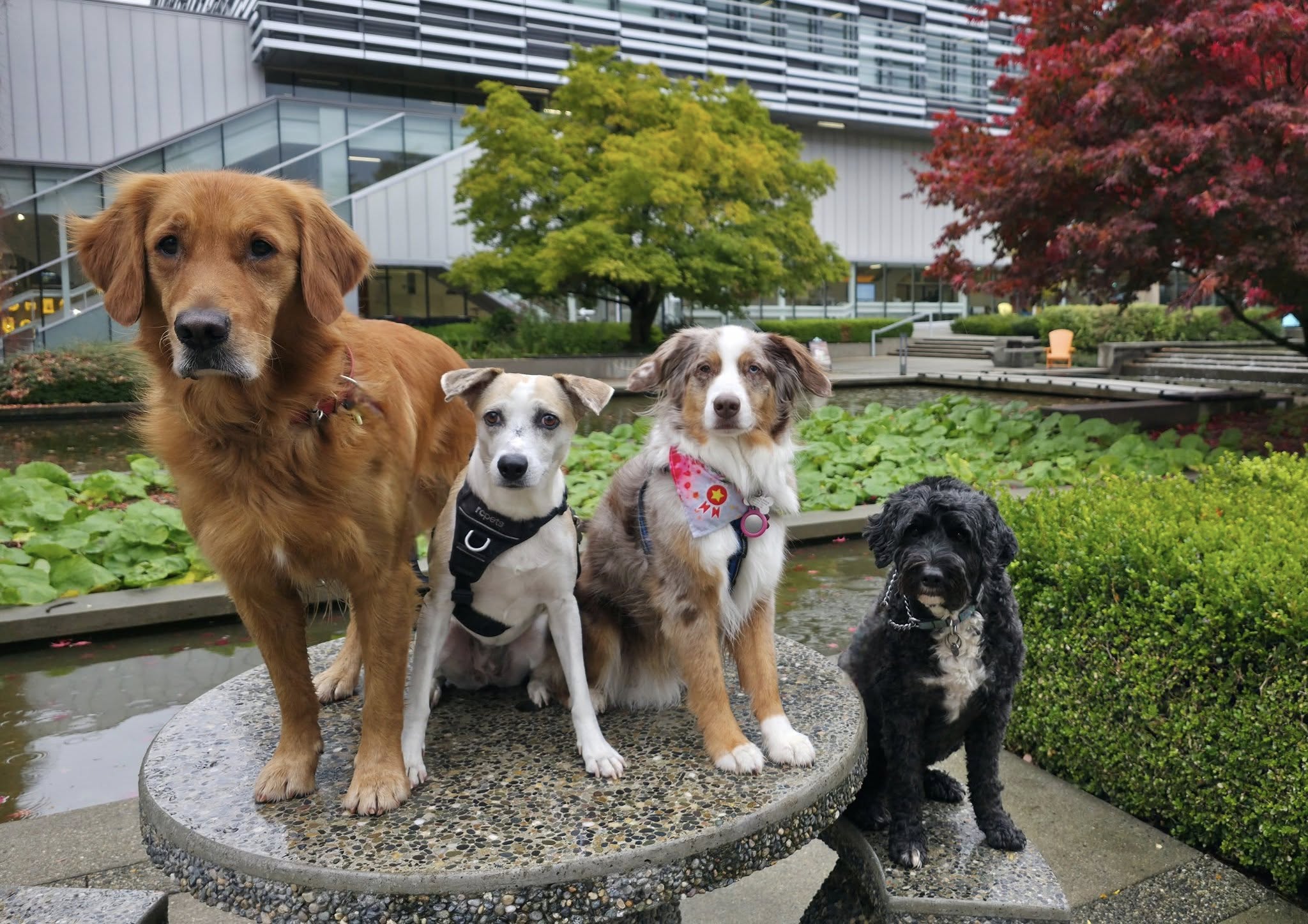 572363370_1399003428896081_5936089088302430083_n