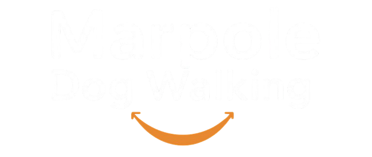 ChatGPT_Image_Nov_12__2025__06_23_48_PM1-removebg-preview