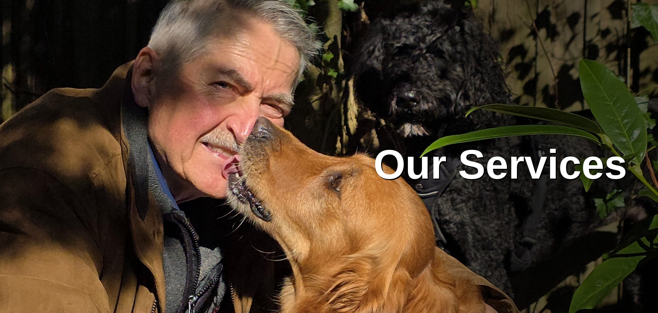 Ken Gardner with dogs — professional dog walking and boarding in Marpole, Vancouver
