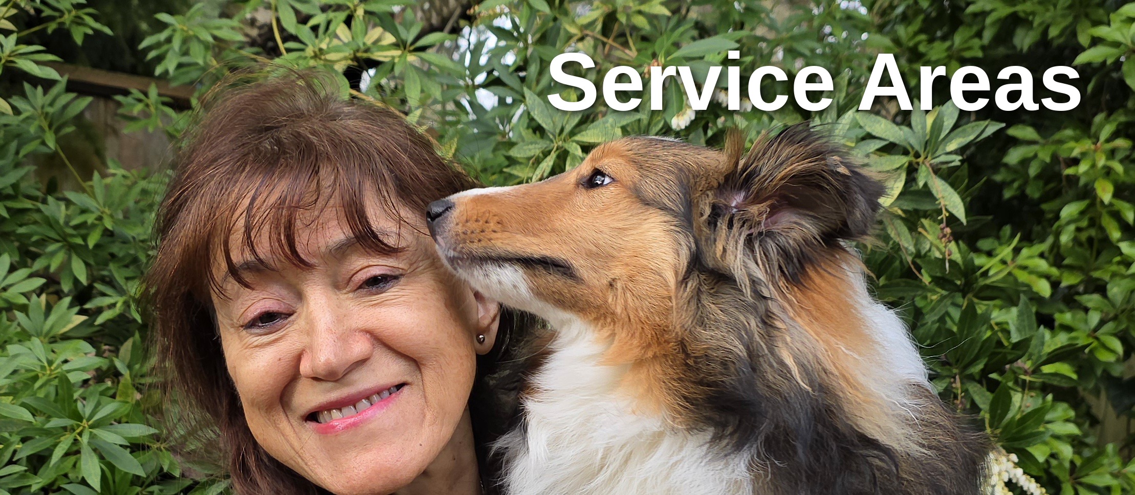 Yvonne Gardner with a Sheltie dog — Marpole Dog Walking service areas in South Vancouver