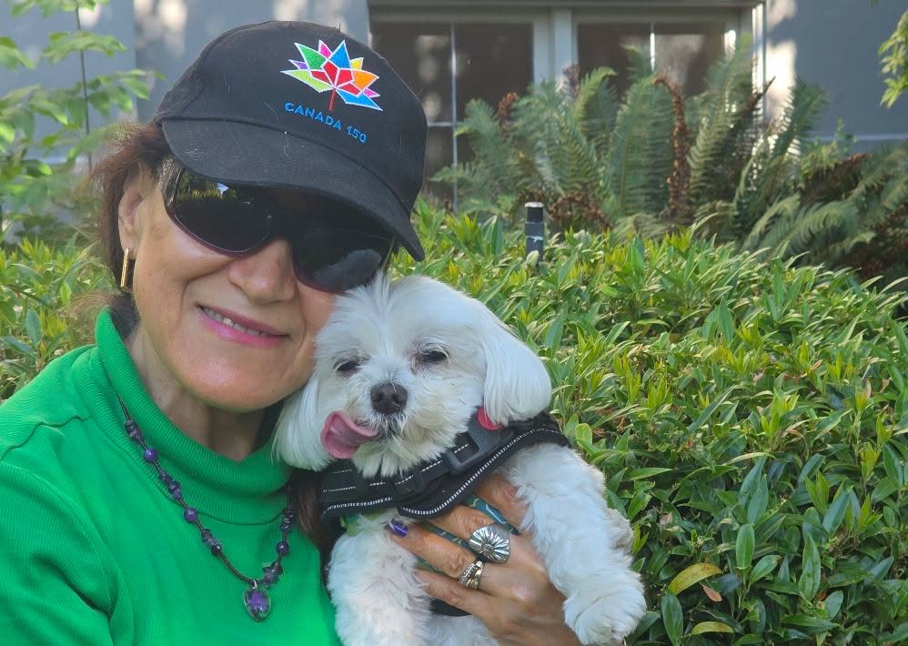 Dexter with Marpole Dog Walking