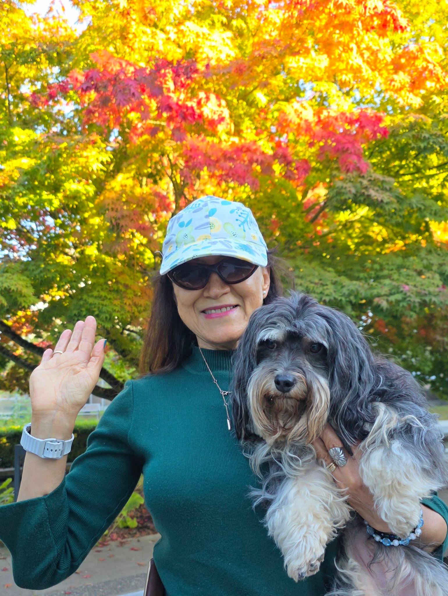 Finnigan with Marpole Dog Walking