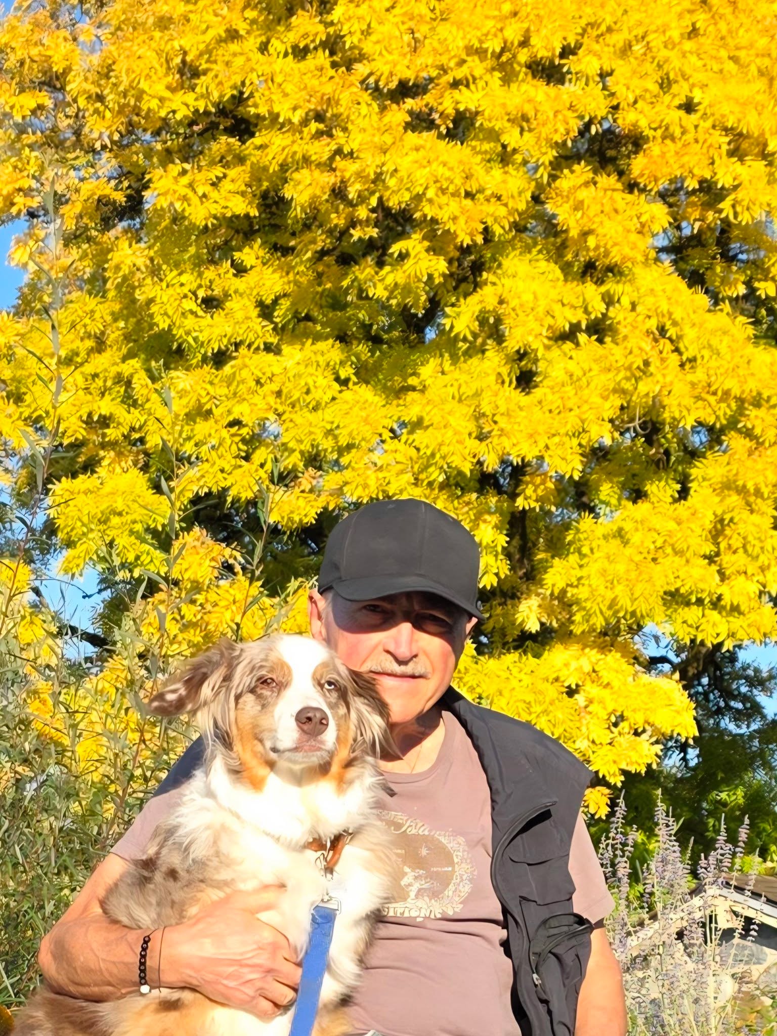 Mochi on a Marpole outing
