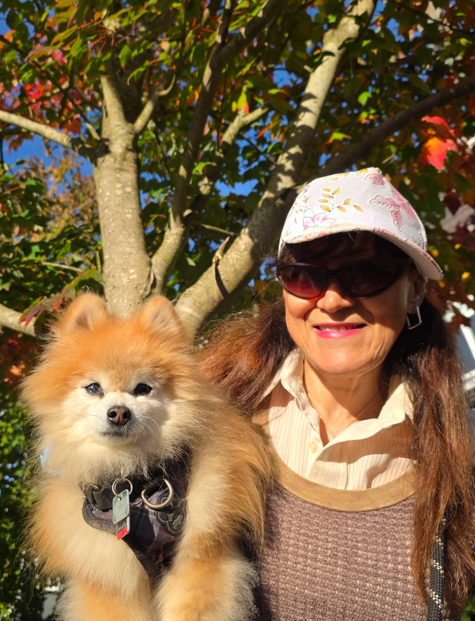 Mojo on a Marpole outing